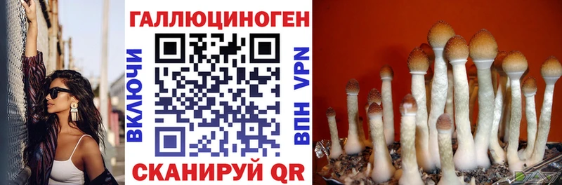 Галлюциногенные грибы мухоморы  где найти   Зеленоградск 