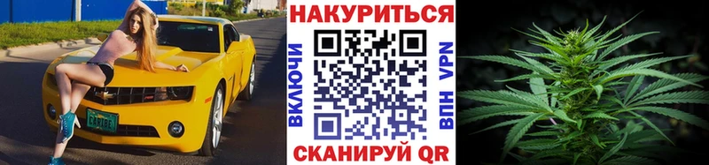 Марихуана сатива  Зеленоградск 